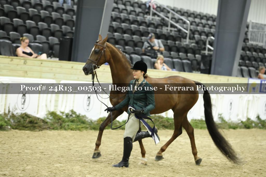 Proof Number 24R13_00563