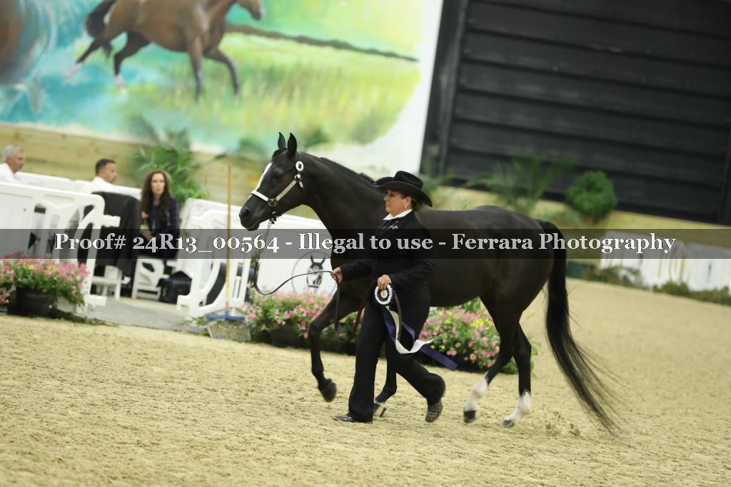 Proof Number 24R13_00564