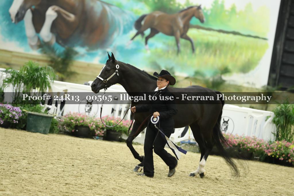 Proof Number 24R13_00565