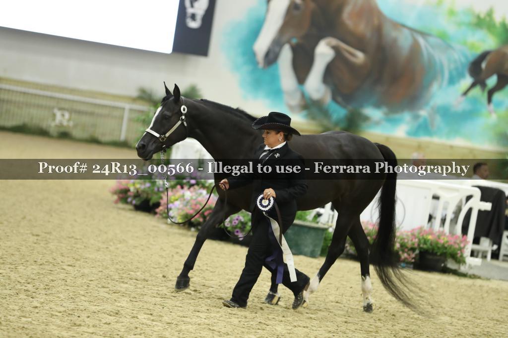 Proof Number 24R13_00566