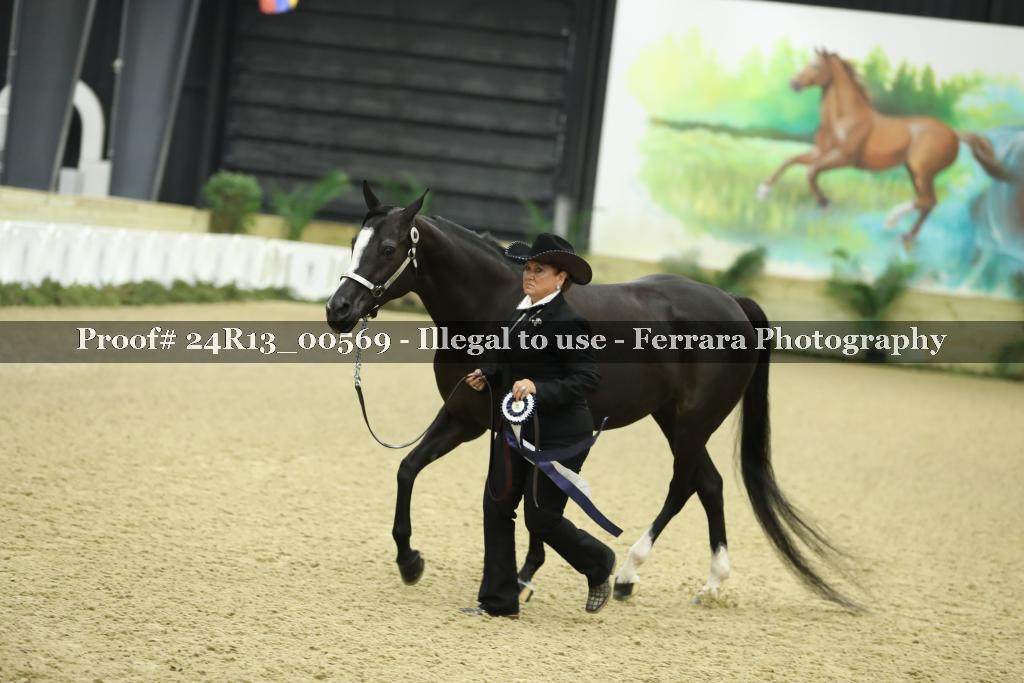 Proof Number 24R13_00569