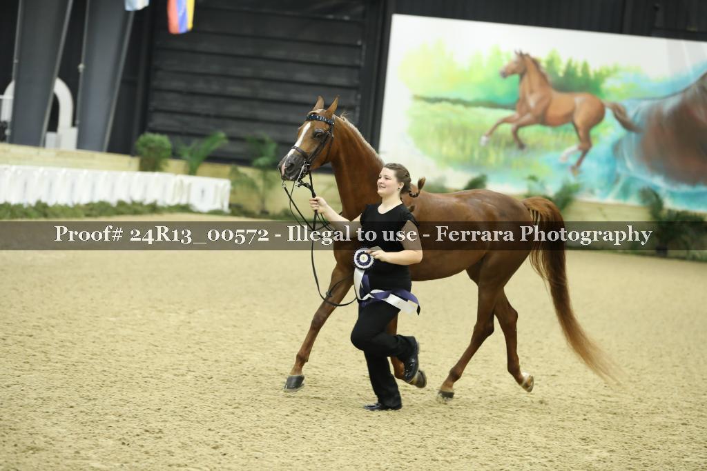Proof Number 24R13_00572
