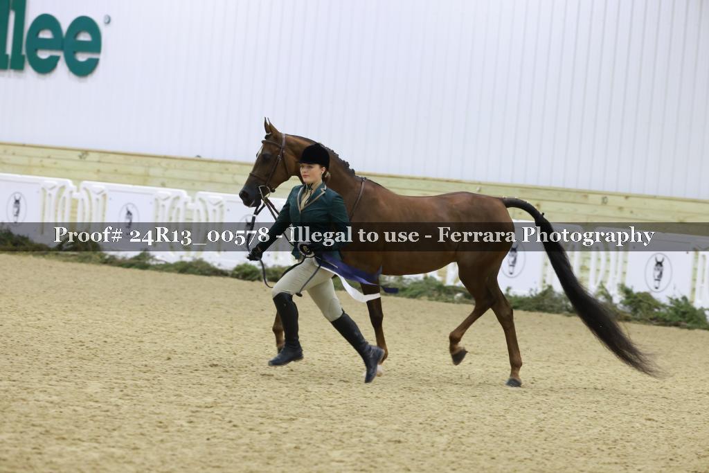 Proof Number 24R13_00578