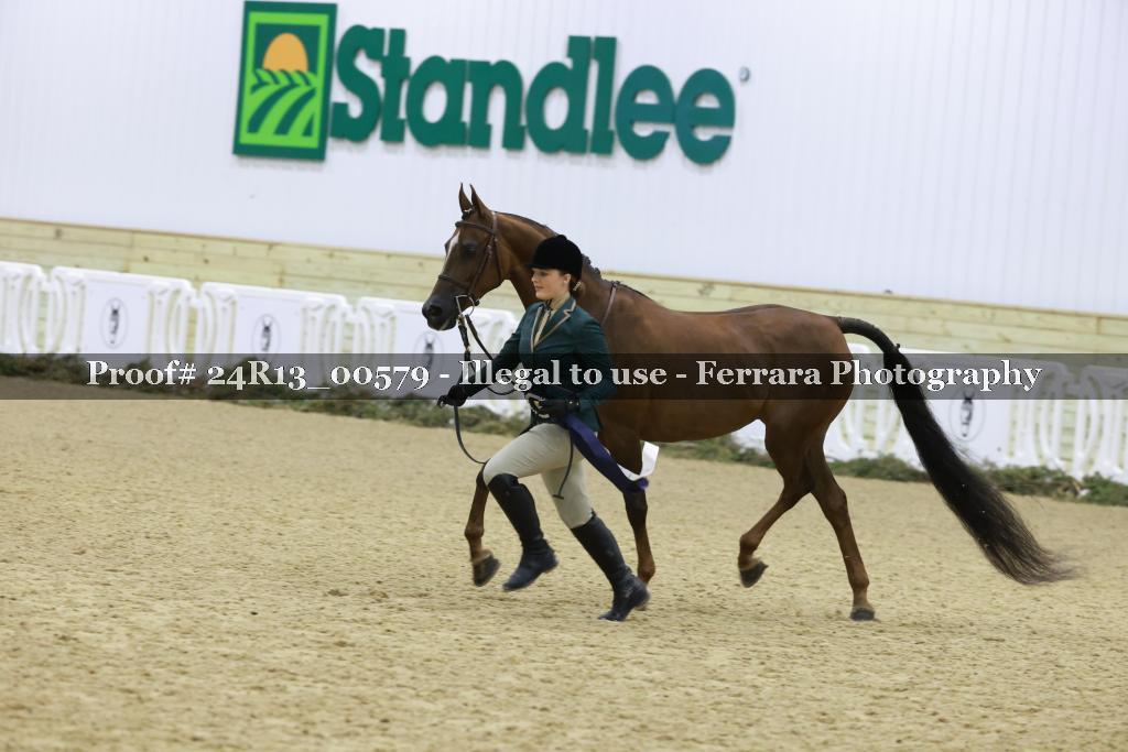 Proof Number 24R13_00579