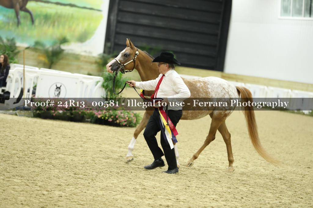 Proof Number 24R13_00581