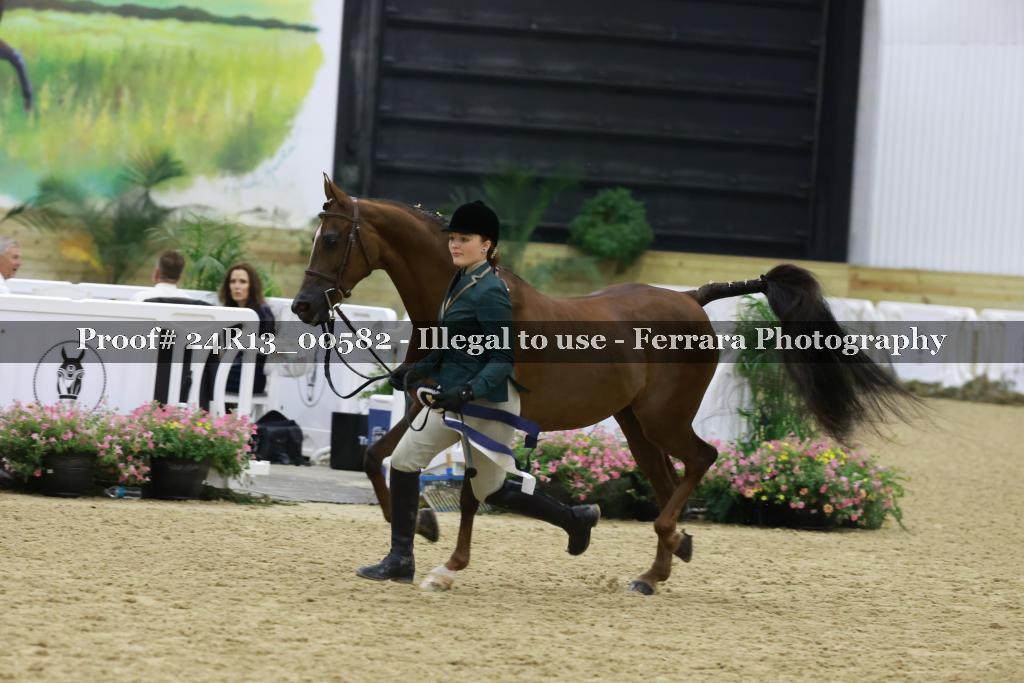 Proof Number 24R13_00582