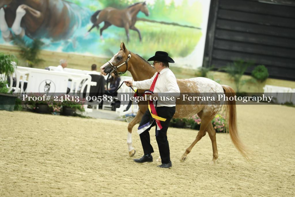 Proof Number 24R13_00583