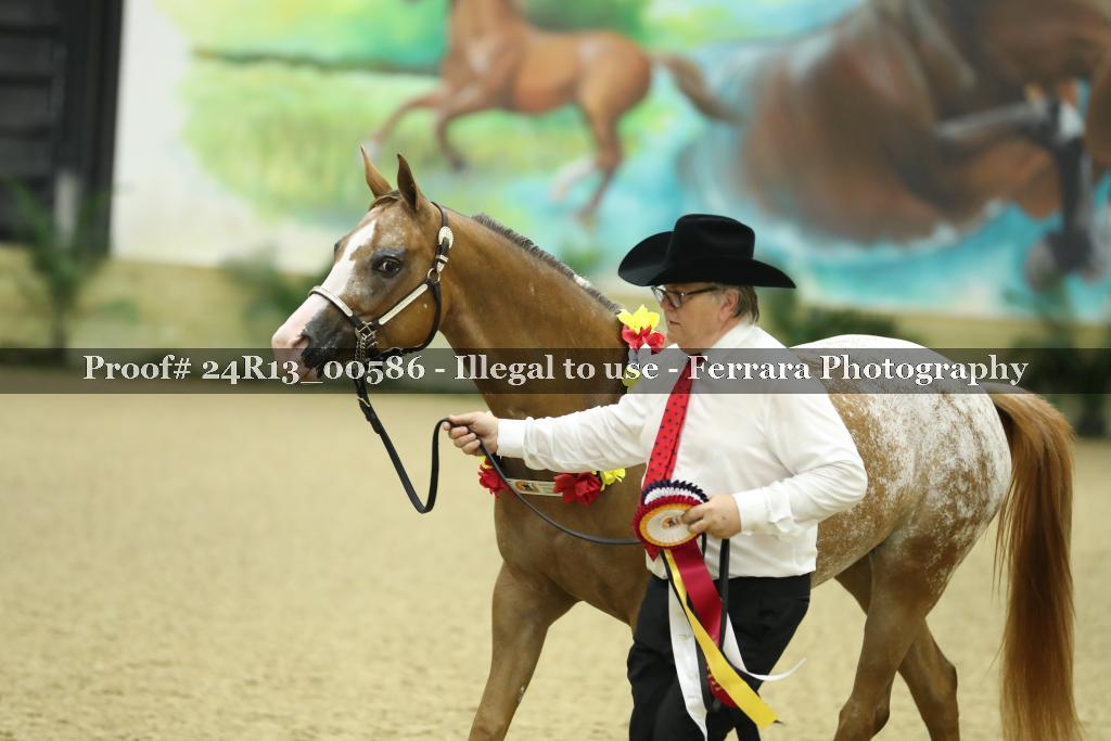 Proof Number 24R13_00586