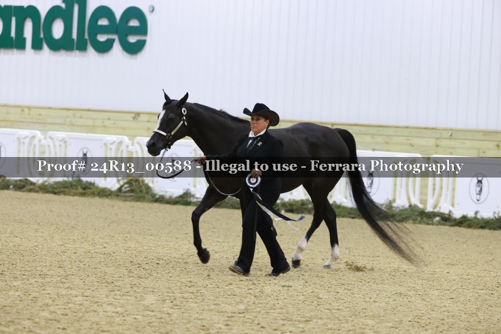 Proof Number 24R13_00588