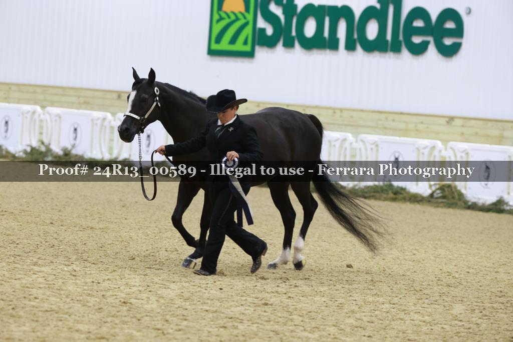 Proof Number 24R13_00589