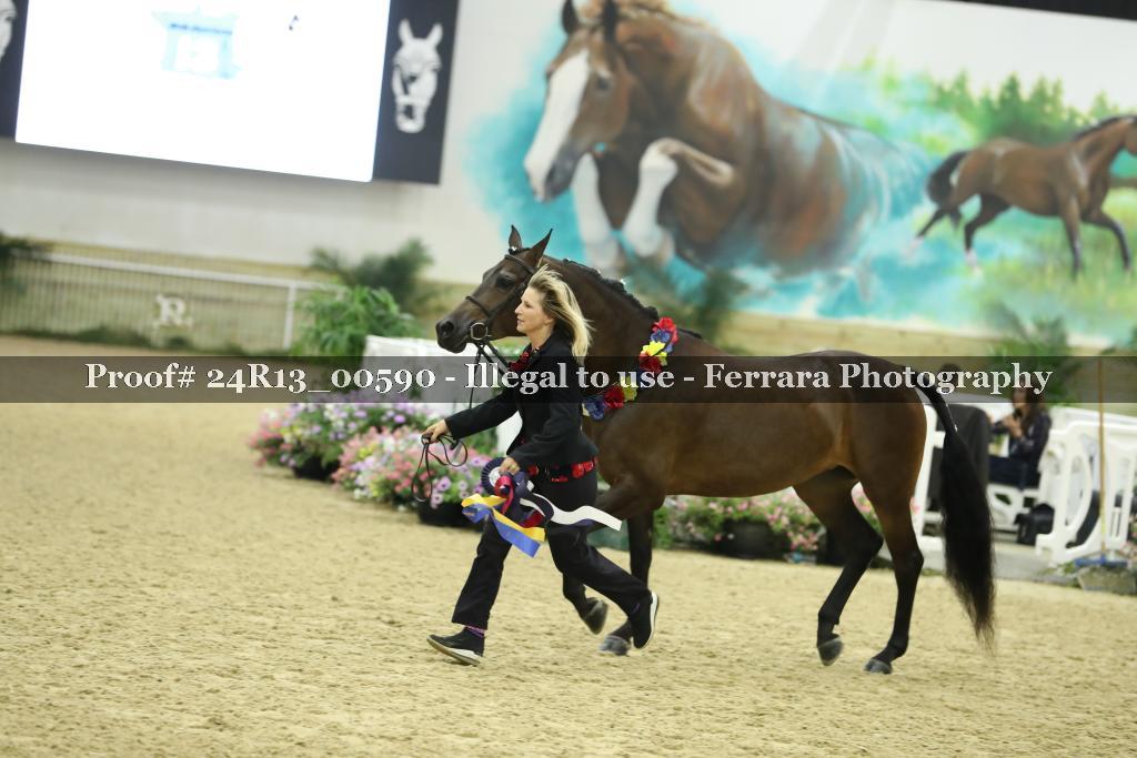 Proof Number 24R13_00590