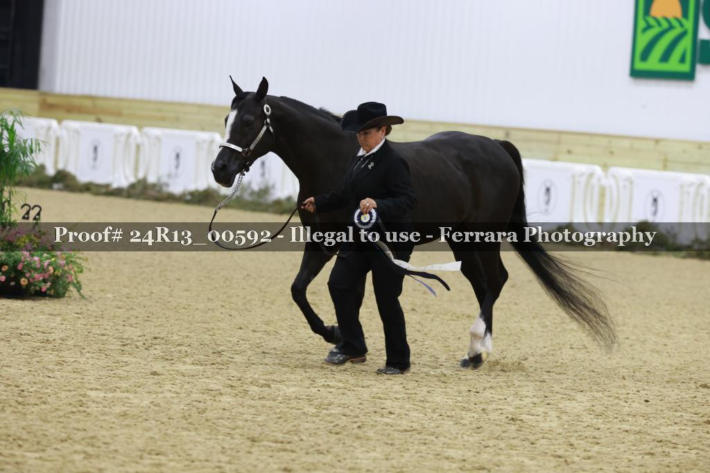 Proof Number 24R13_00592
