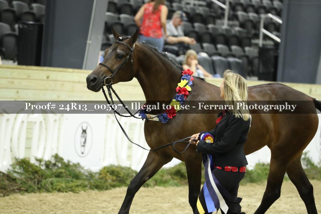 Proof Number 24R13_00597
