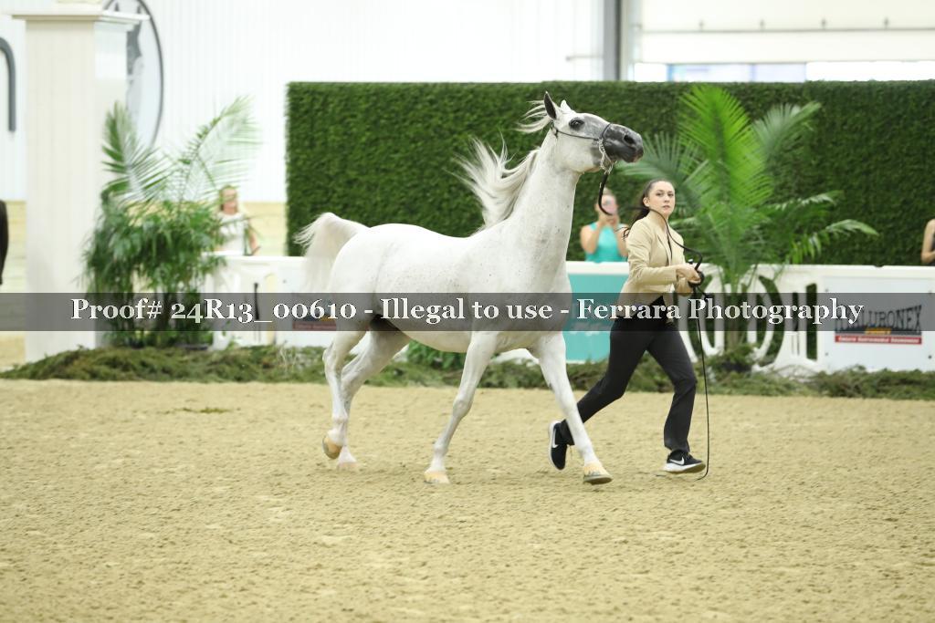 Proof Number 24R13_00610