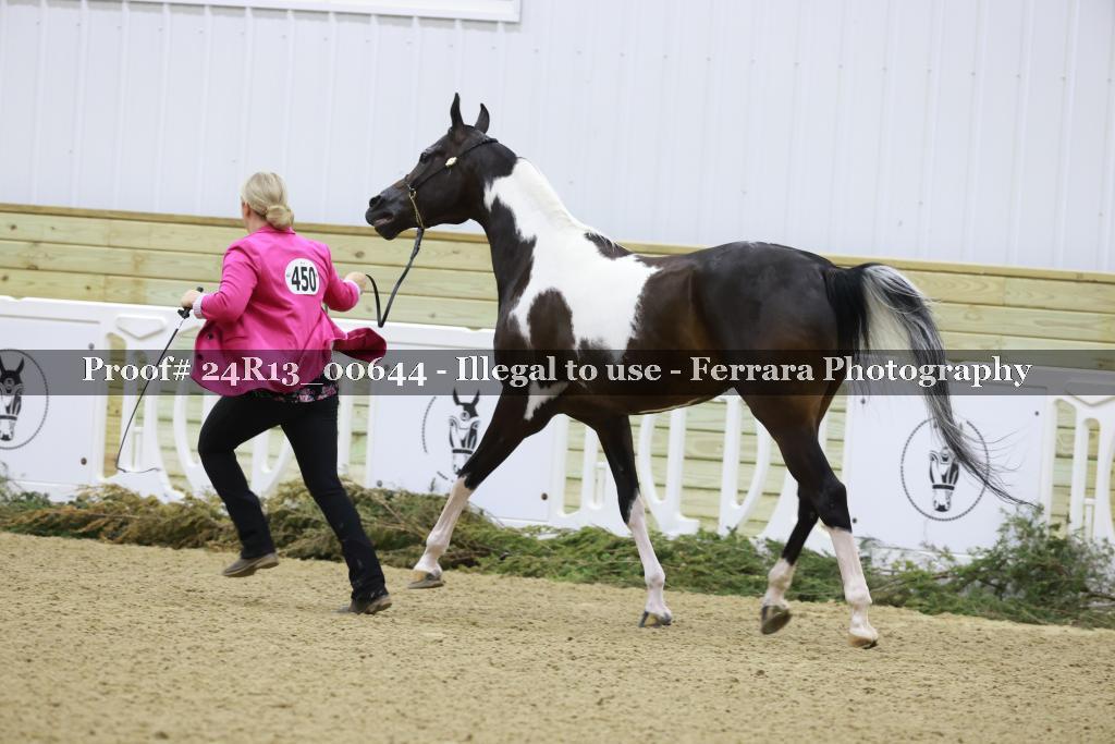Proof Number 24R13_00644