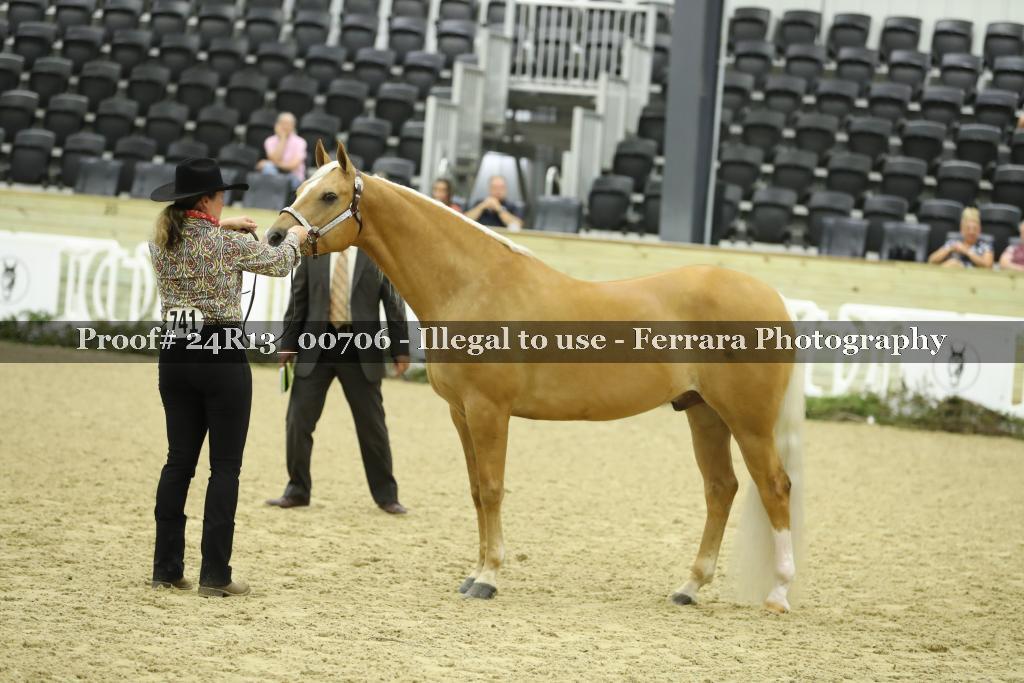 Proof Number 24R13_00706