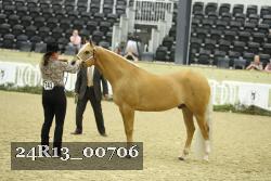 24R13_00706 thumbnail