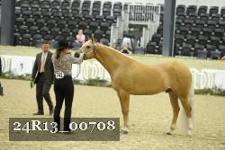 24R13_00708 thumbnail