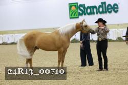 24R13_00710 thumbnail