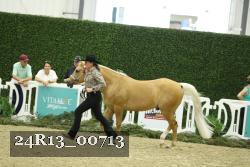 24R13_00713 thumbnail