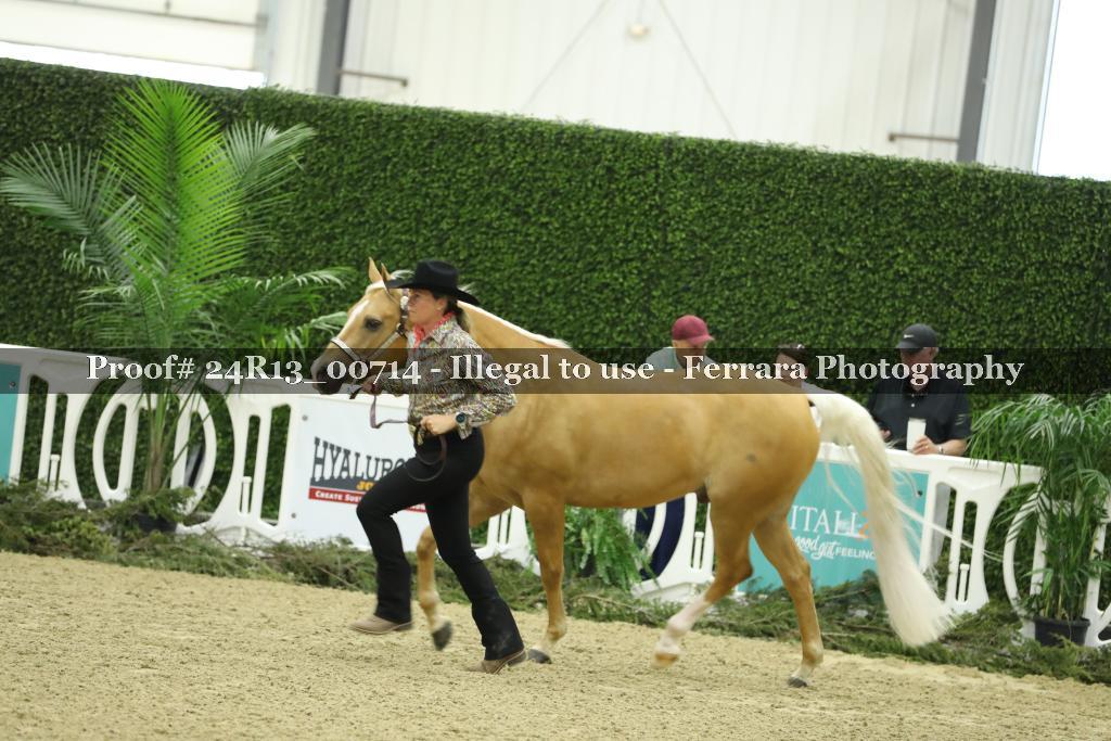 Proof Number 24R13_00714