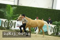 24R13_00714 thumbnail