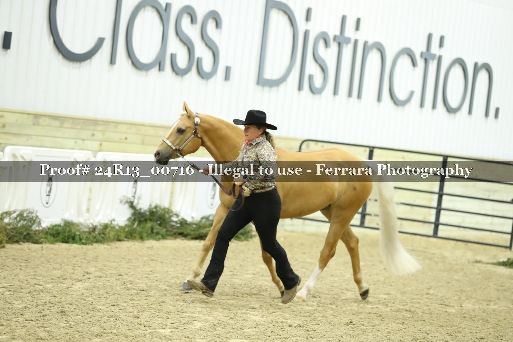 Proof Number 24R13_00716
