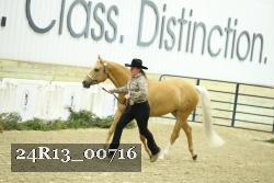 24R13_00716 thumbnail