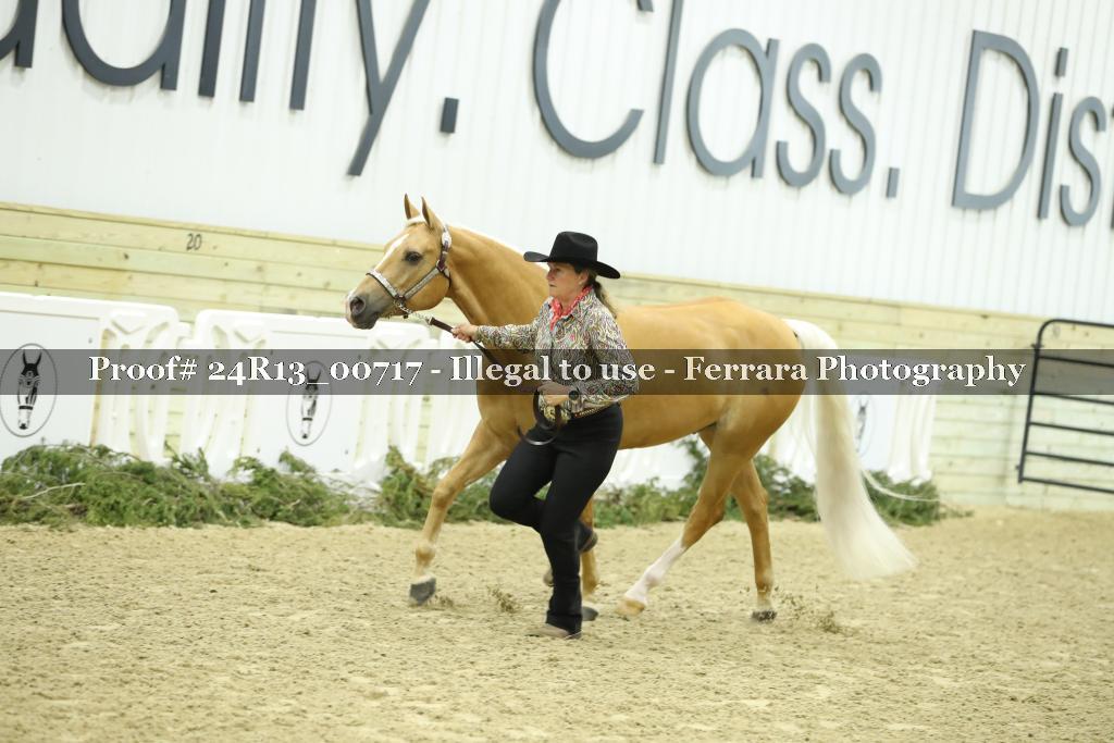 Proof Number 24R13_00717