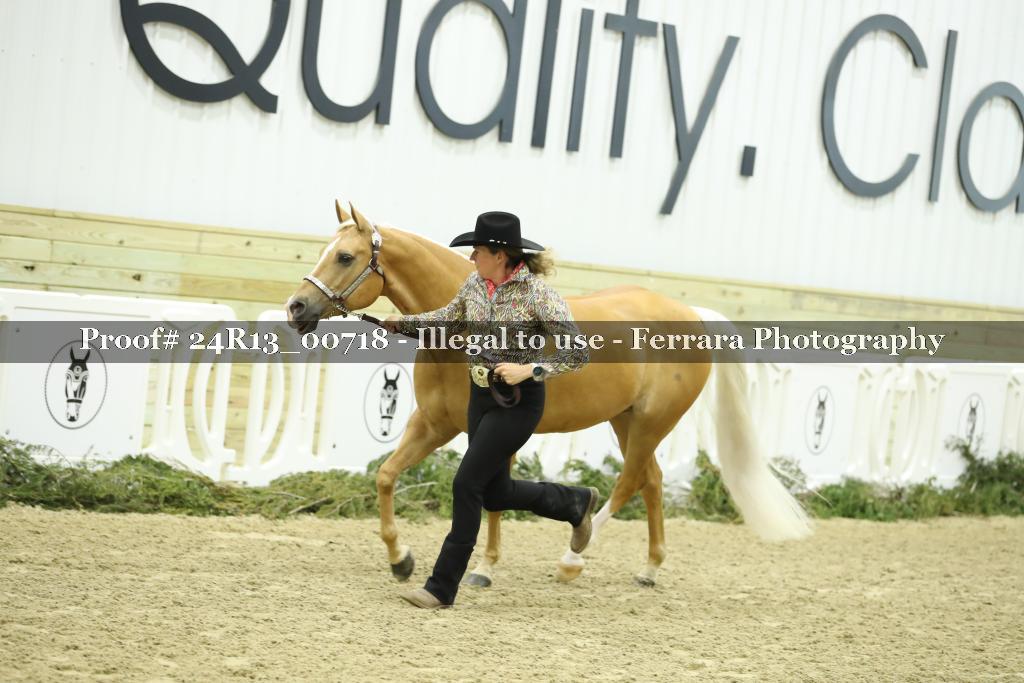 Proof Number 24R13_00718