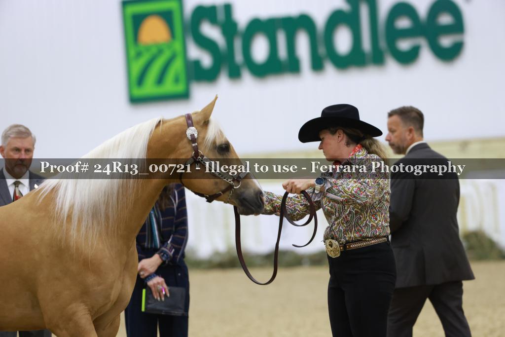 Proof Number 24R13_00721