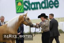 24R13_00721 thumbnail