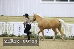 24R13_00723 thumbnail