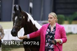24R13_00724 thumbnail