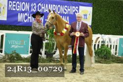 24R13_00729 thumbnail