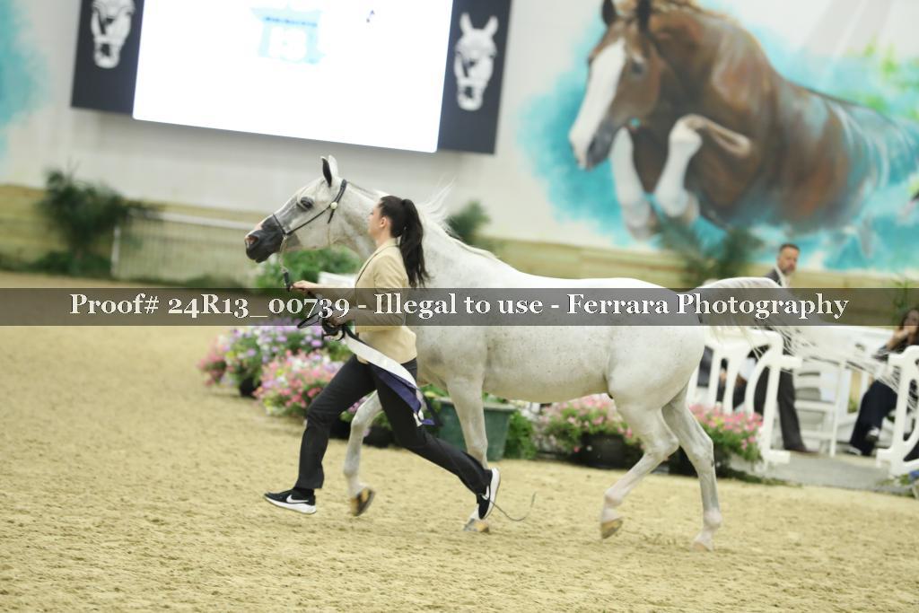Proof Number 24R13_00739