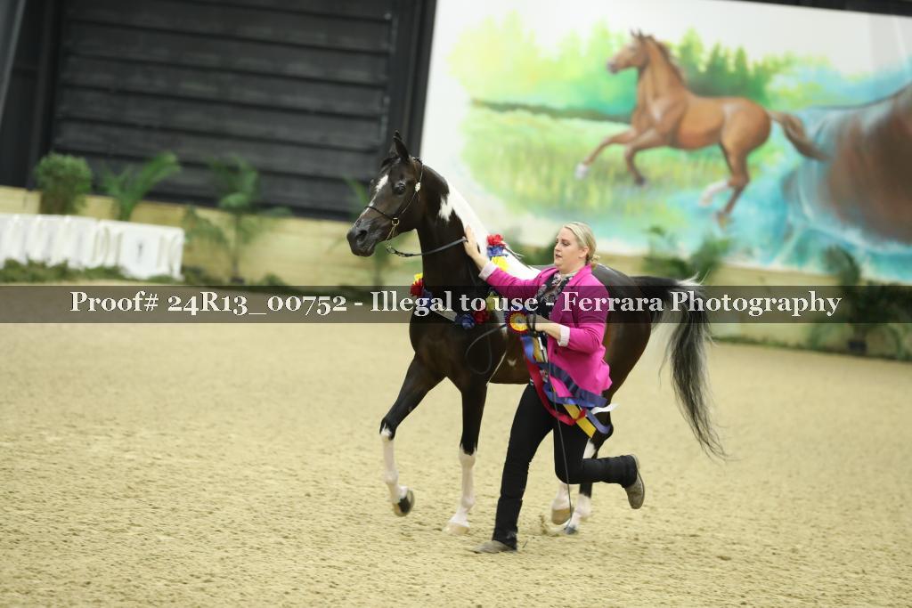 Proof Number 24R13_00752