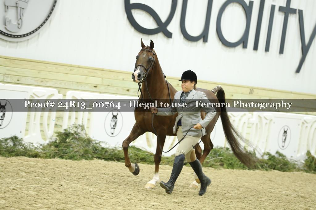 Proof Number 24R13_00764