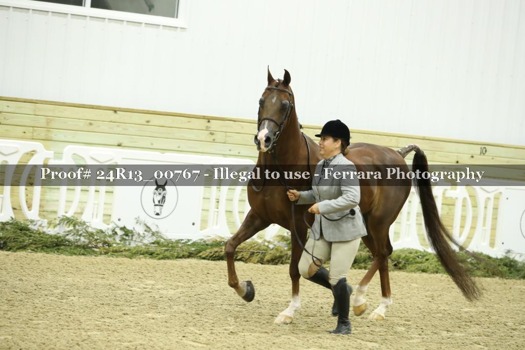 Proof Number 24R13_00767