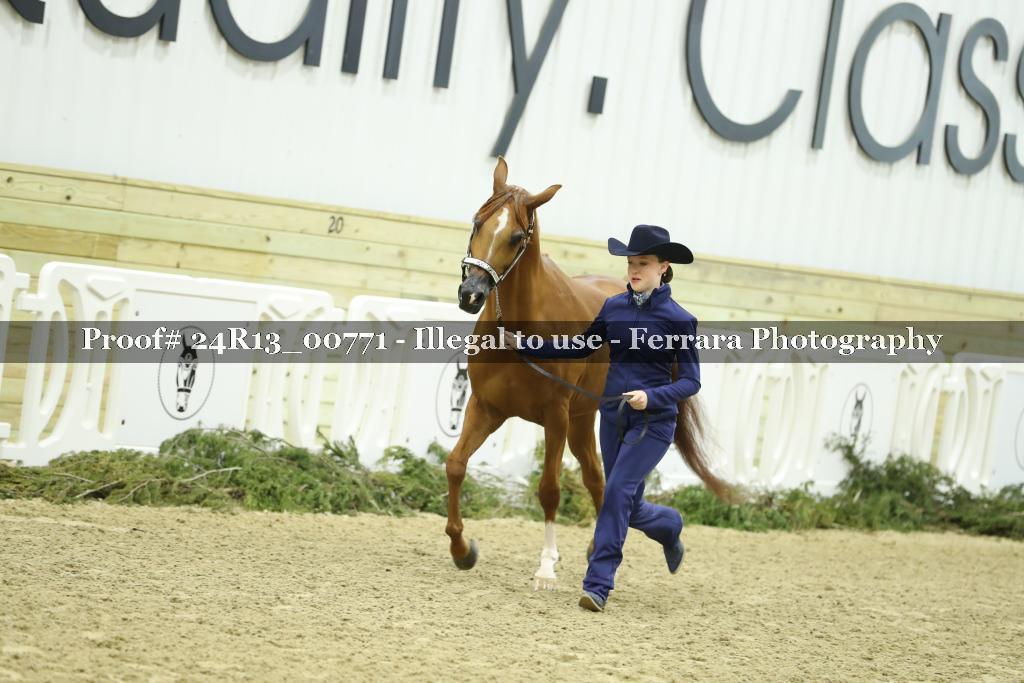 Proof Number 24R13_00771