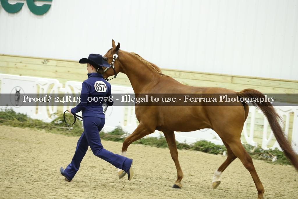 Proof Number 24R13_00778
