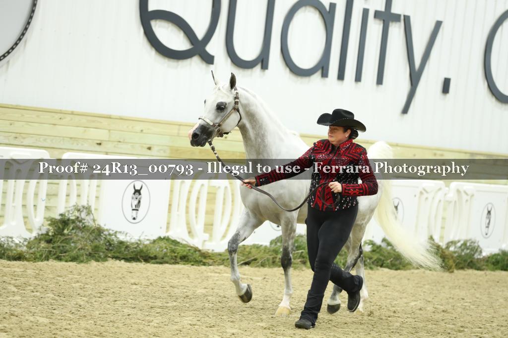 Proof Number 24R13_00793