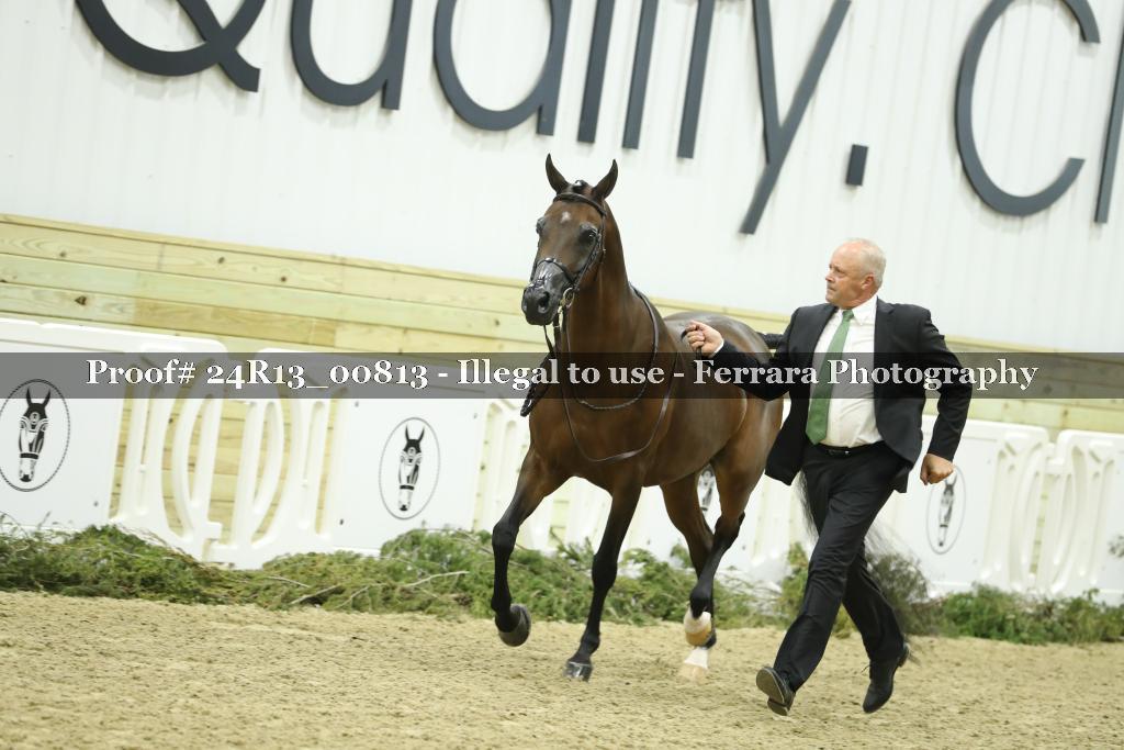 Proof Number 24R13_00813