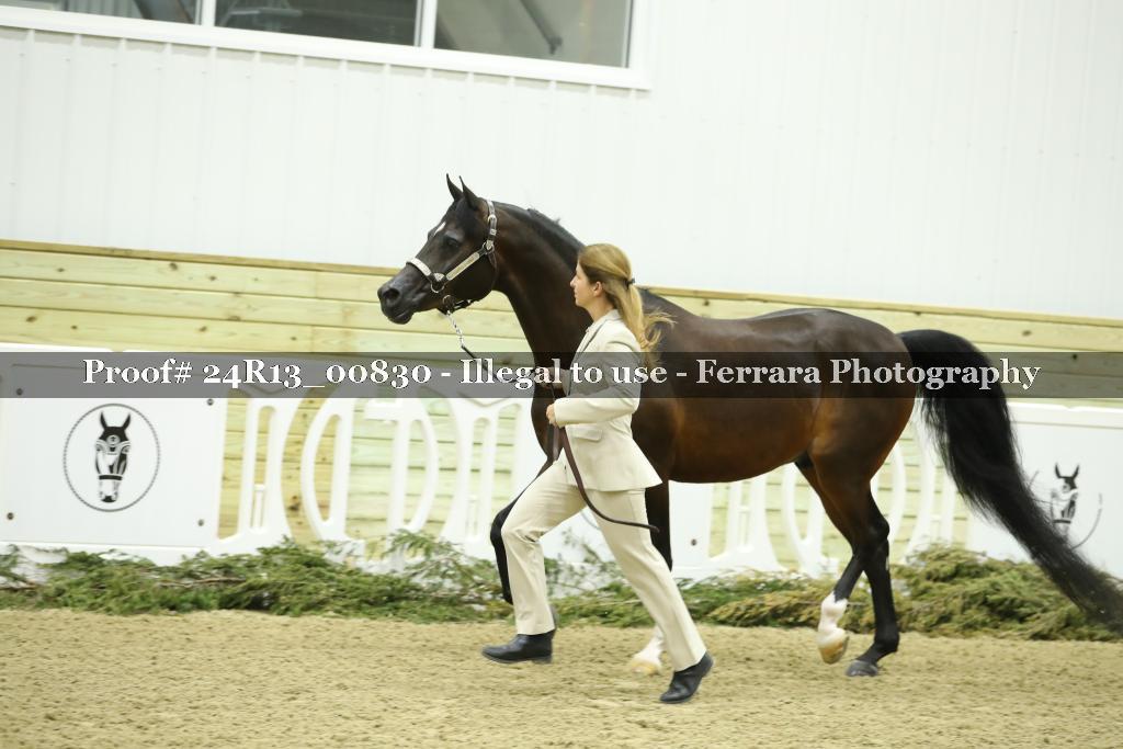 Proof Number 24R13_00830