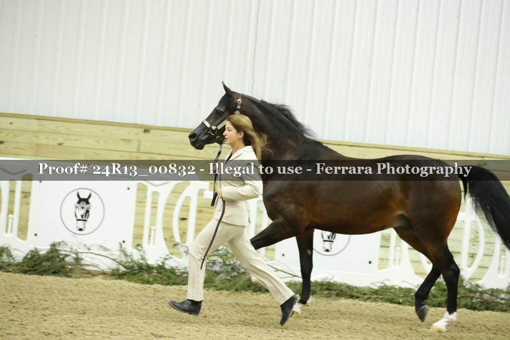 Proof Number 24R13_00832