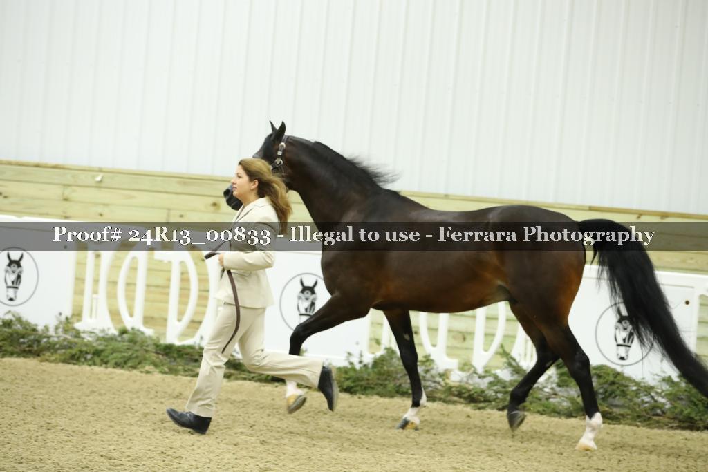 Proof Number 24R13_00833