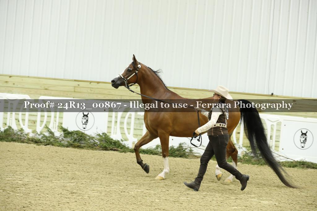 Proof Number 24R13_00867