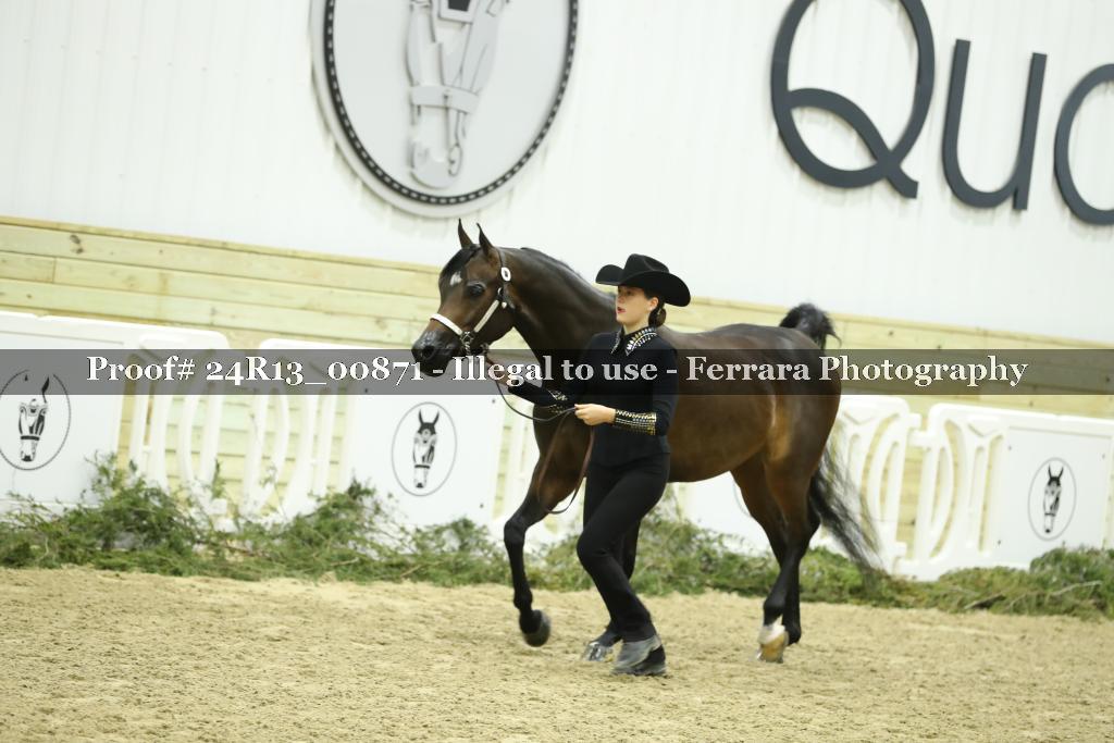 Proof Number 24R13_00871