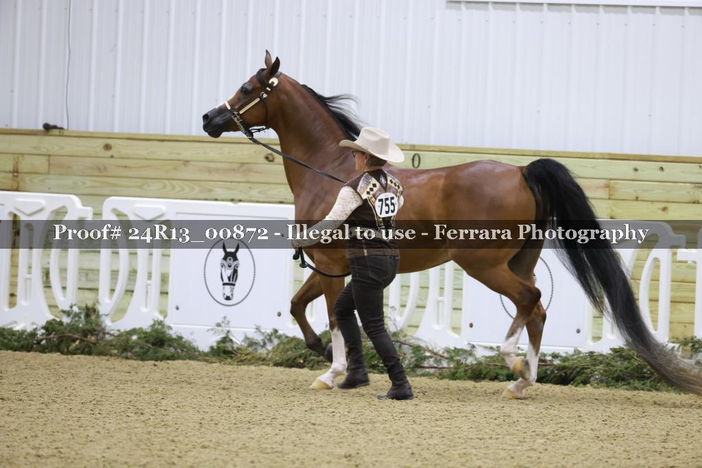 Proof Number 24R13_00872