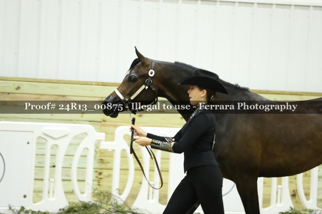 Proof Number 24R13_00875